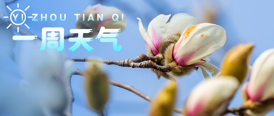 【一周天气】又有烘烘太阳！降温降雨随后到→