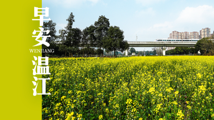 早安温江 | 事关既有住宅自主增设电梯用电，成都公开征求意见