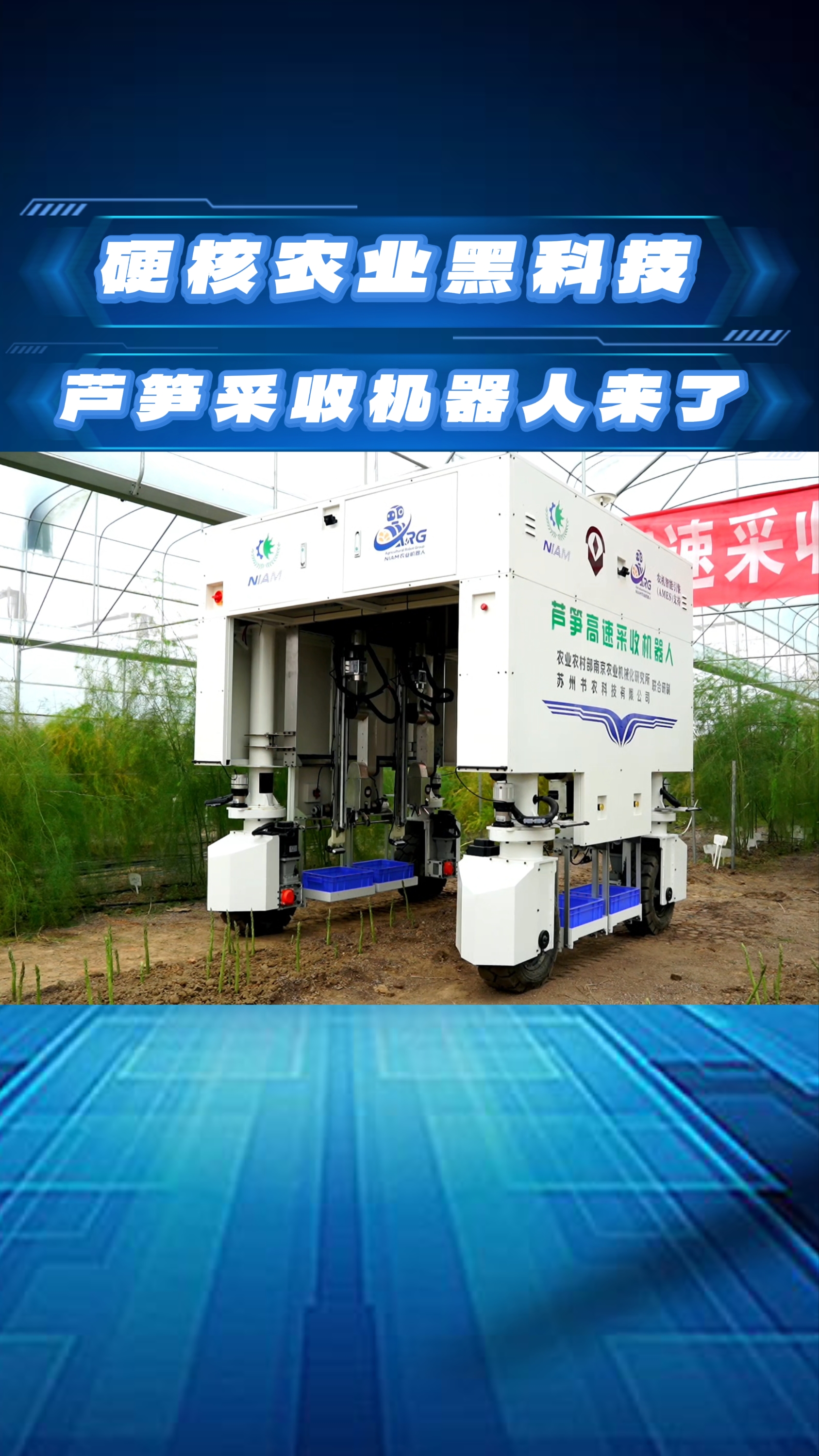 硬核农业黑科技！“温江造”芦笋高速采收机器人来了