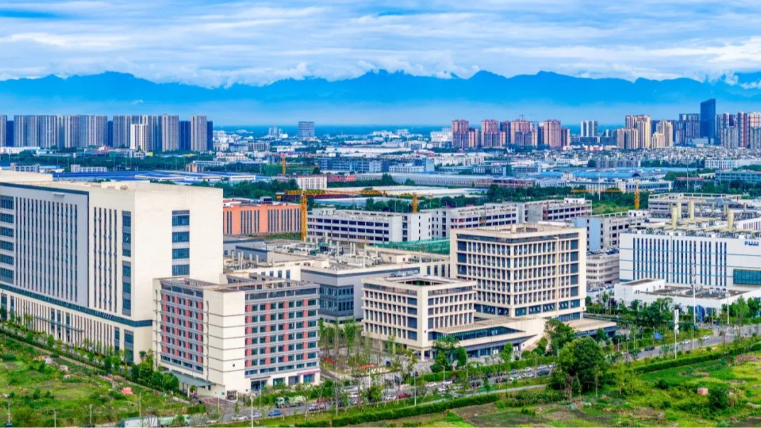 全区欠薪治理和困难群众救助专题会议召开