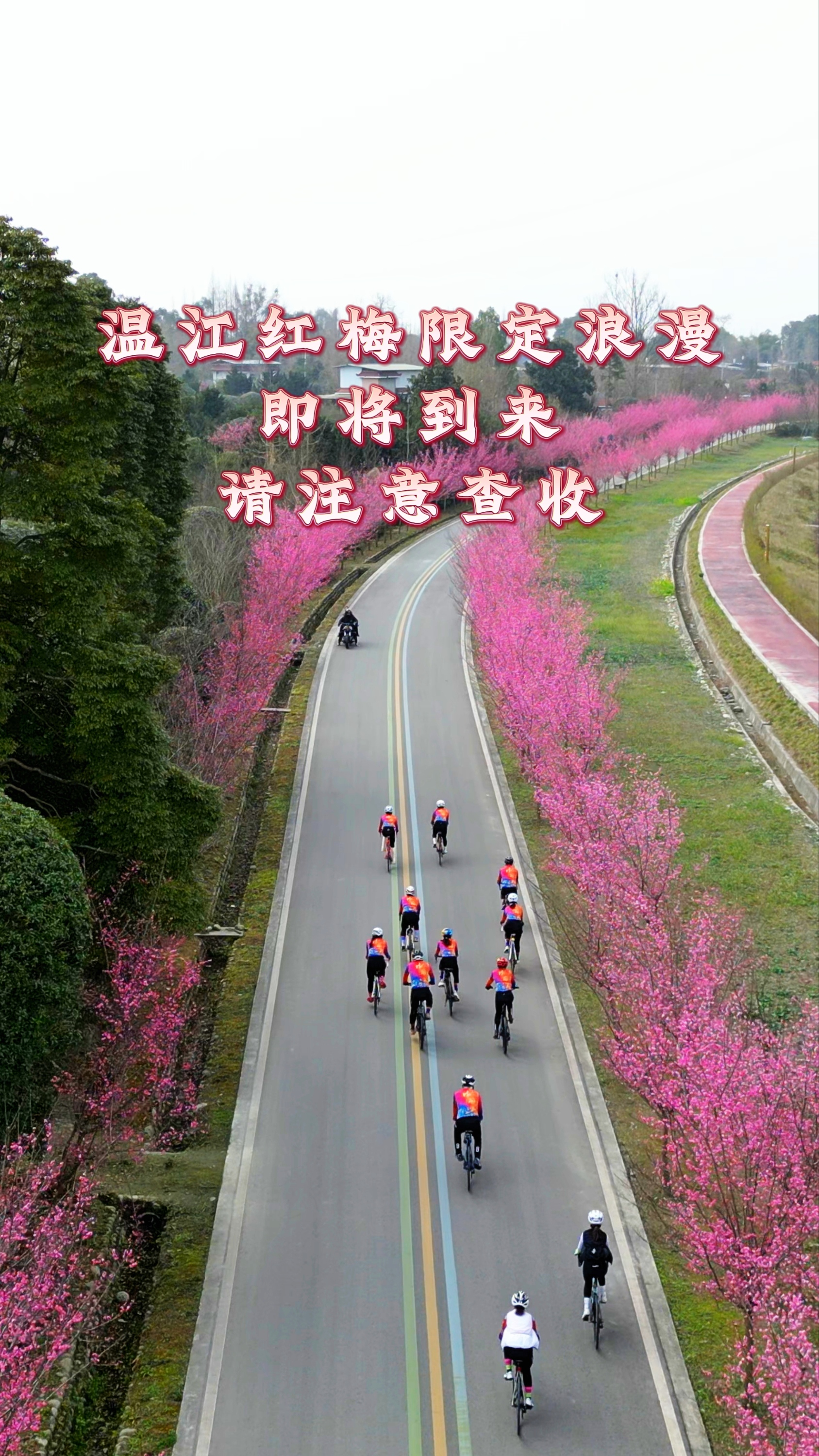 温江红梅限定浪漫，即将到来~请注意查收