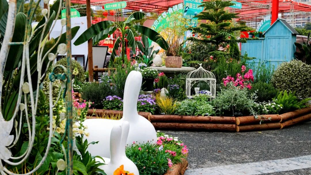 “一站式”解锁花漾新春！2026温江村糖会·金温江年宵花市明日开市