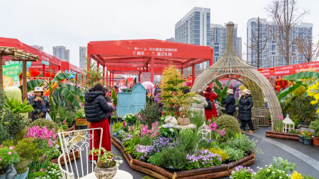 年味直接拉满！成都2026春节村糖会全攻略，逛吃玩购一站式解锁