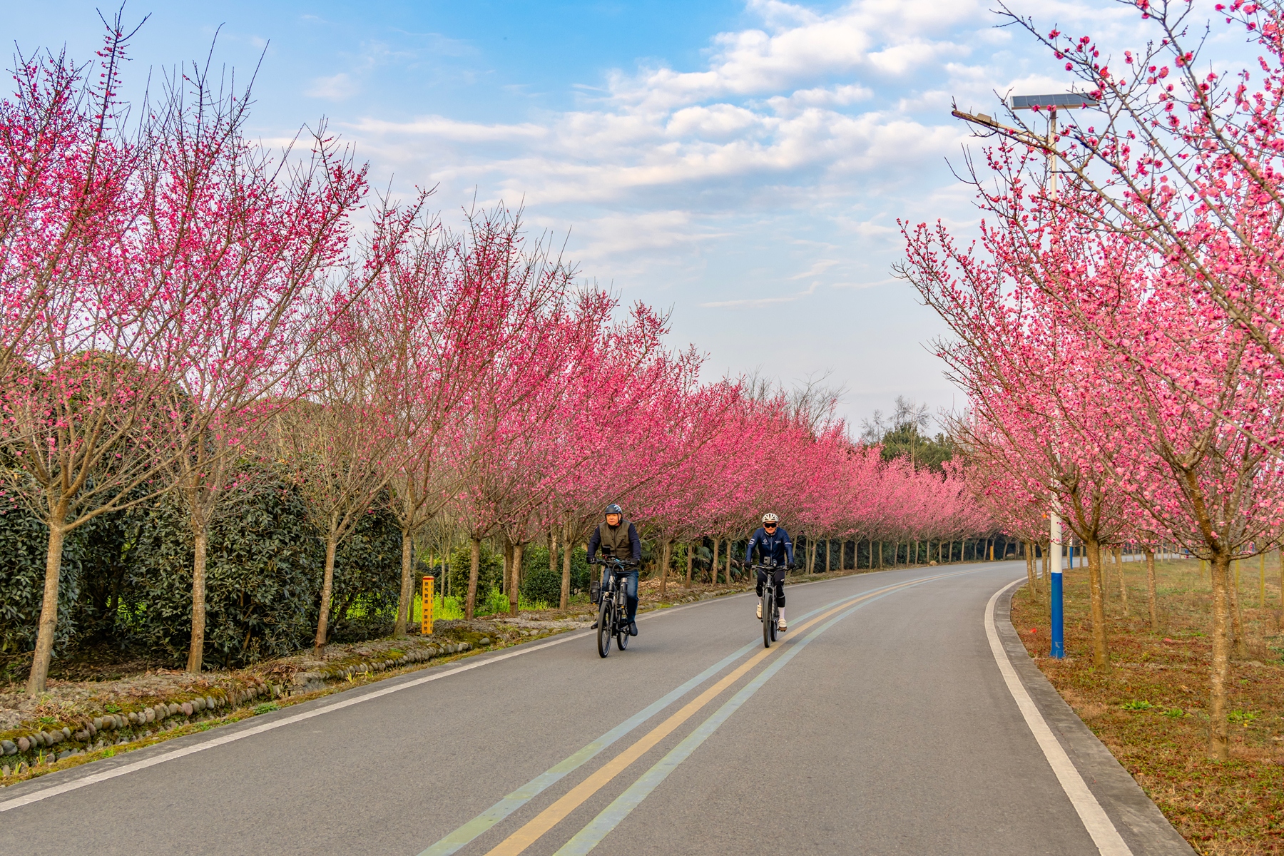 “骑”出活力！快去找寻绿道上藏着的惊喜→