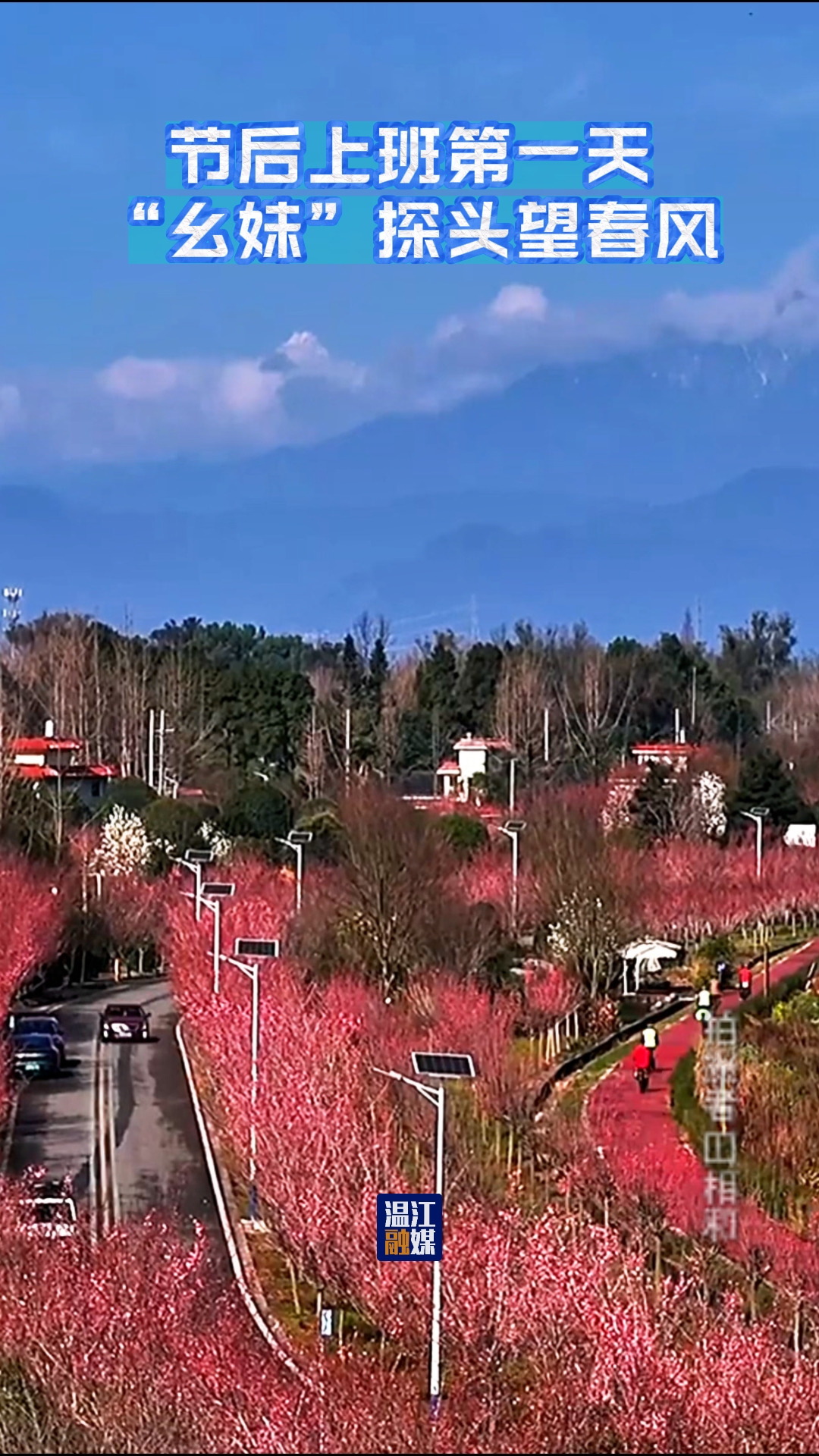 节后上班第一天 “幺妹”探头望春风~#春暖花开#幺妹峰