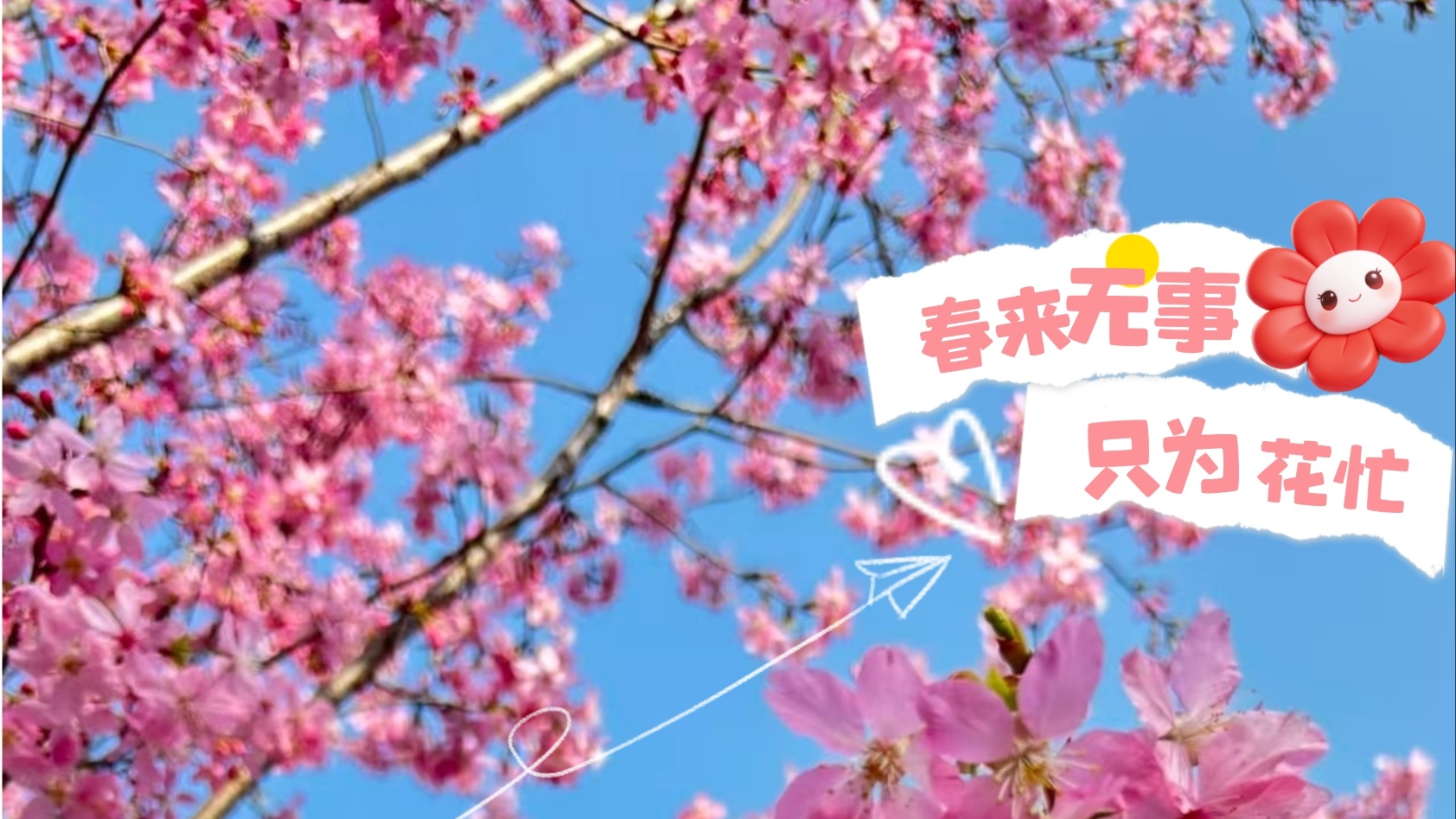 𝙝𝙚𝙡𝙡𝙤 🤳🧡温江春日限定浪漫已送达~