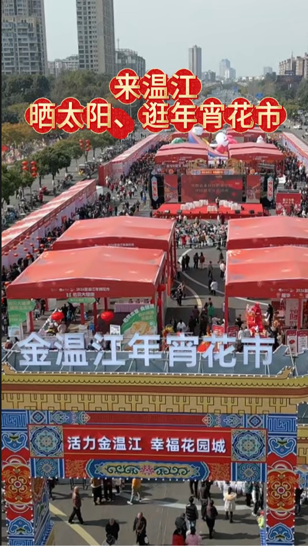 来温江晒太阳 逛年宵花市