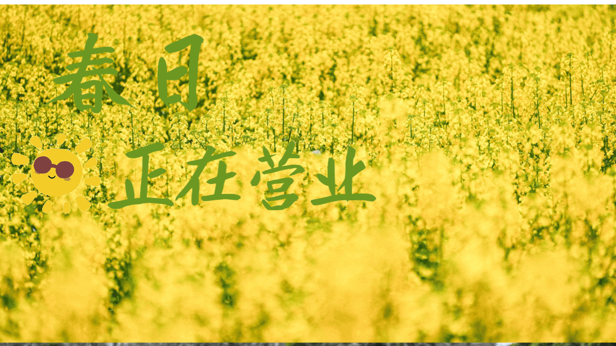 “油”点好看！温江的春天是金色的~