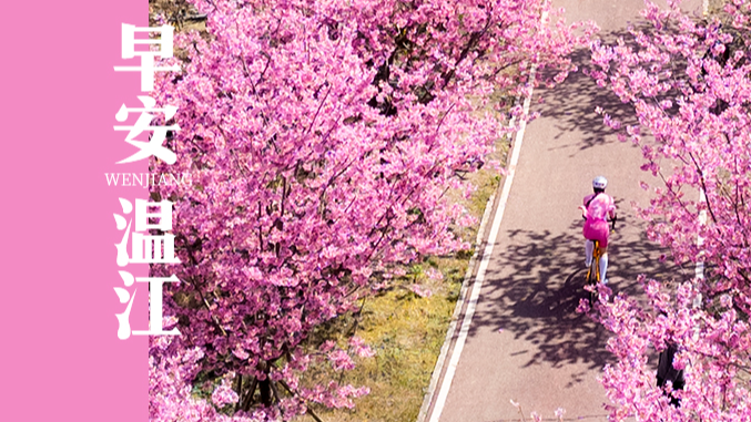 早安温江 | 成都，领跑“成长型”赛事名城！