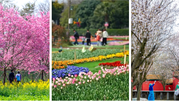 从颜值到产值！温江繁花点亮春日经济