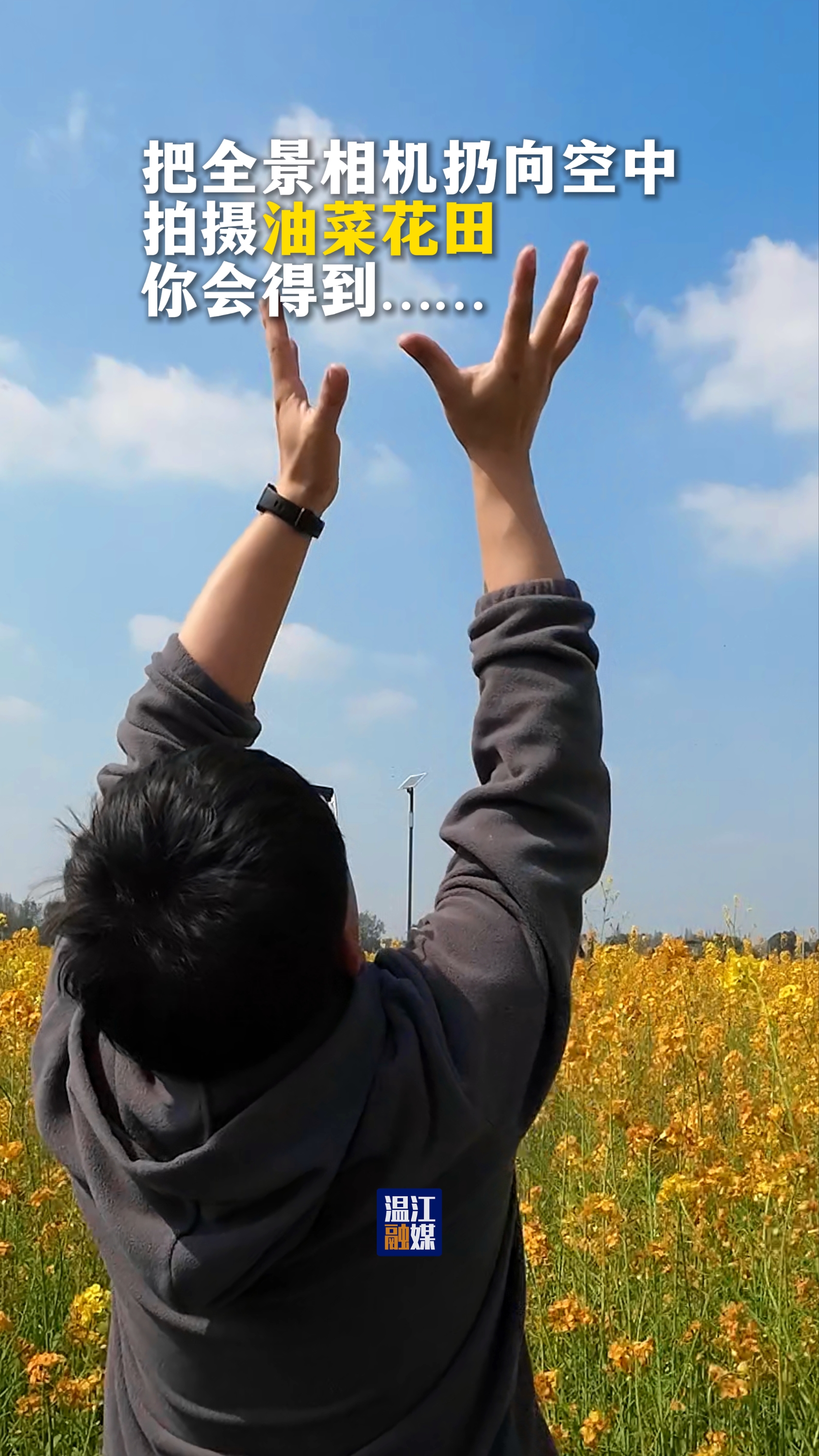 把全景相机扔向空中拍摄油菜花田，你会得到……