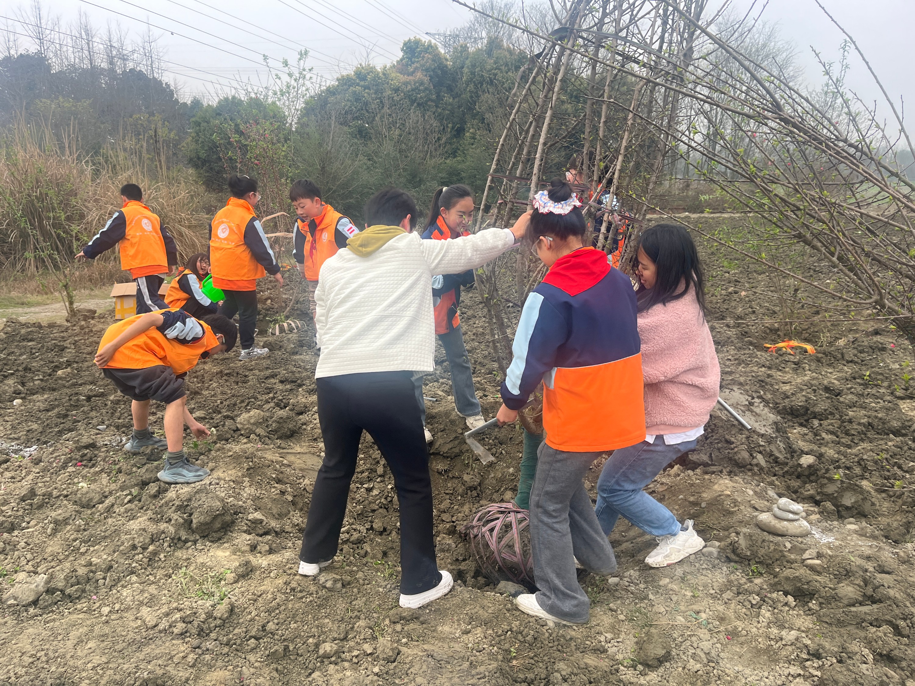 不负春光，为绿充“植”！温江区庆丰街小学校开展植树节主题实践活动