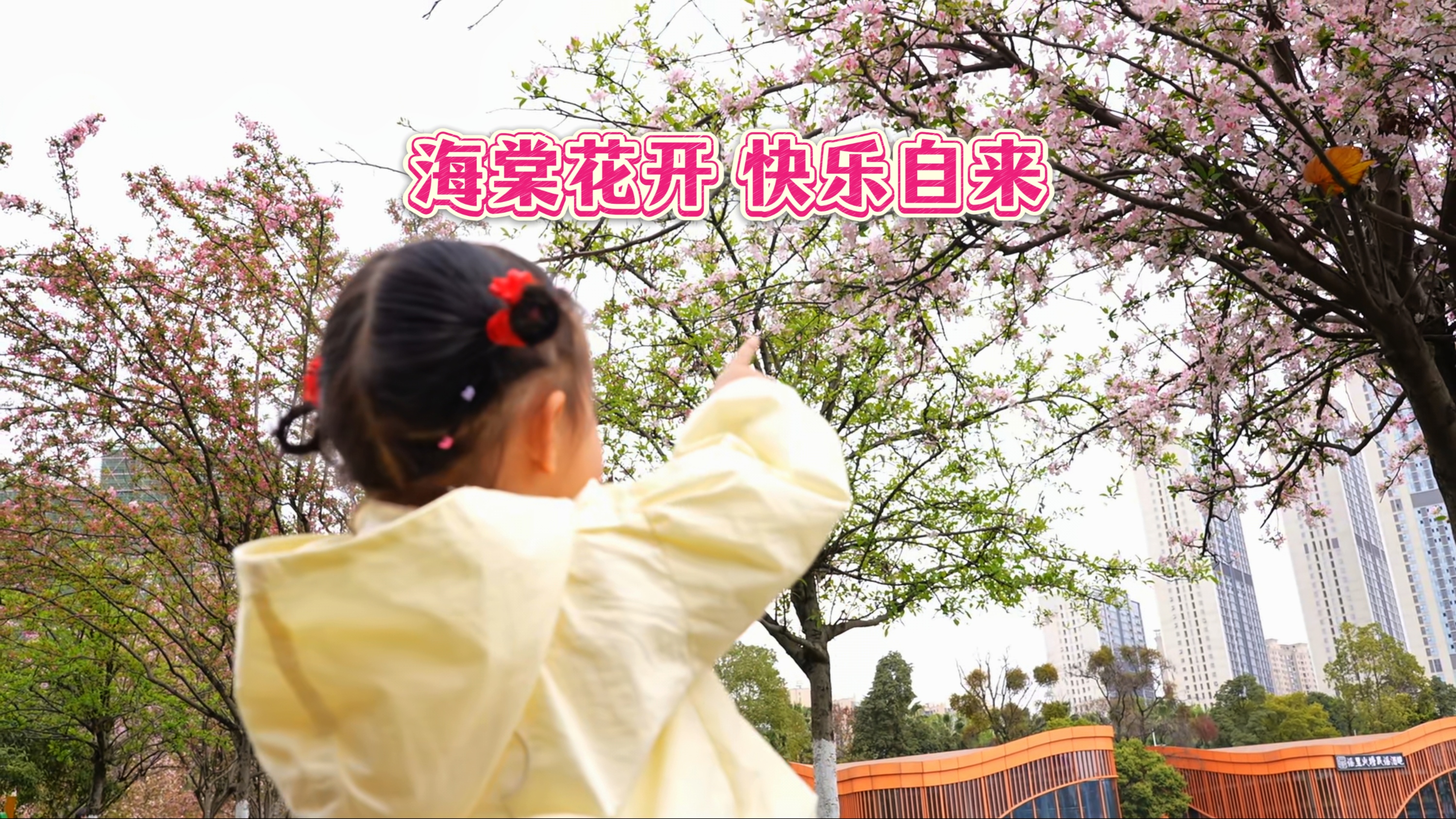 海棠花开~快乐自来