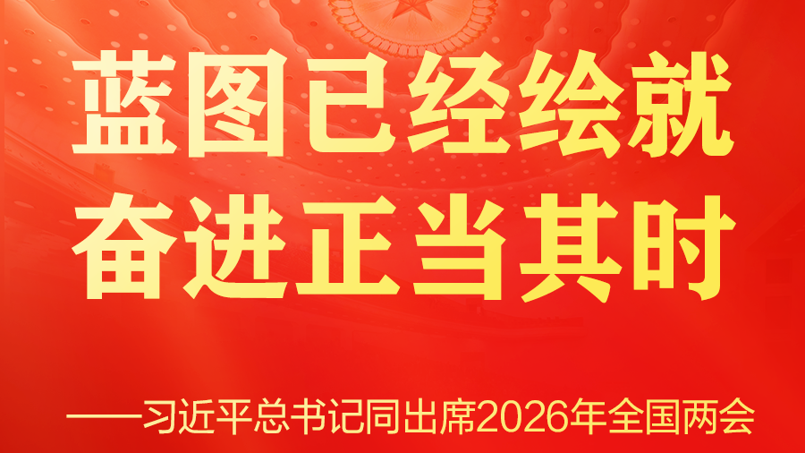 习近平总书记同人大代表、政协委员共商国是纪实