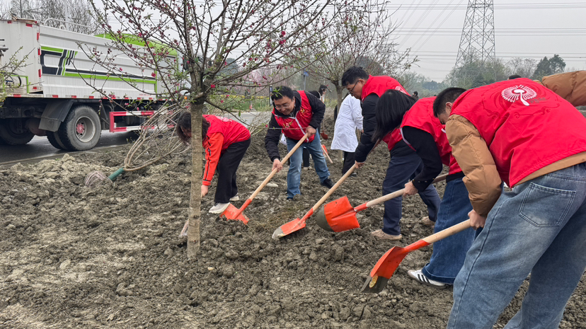 共赴“春日之约”，和盛镇校地联动携手植绿护绿