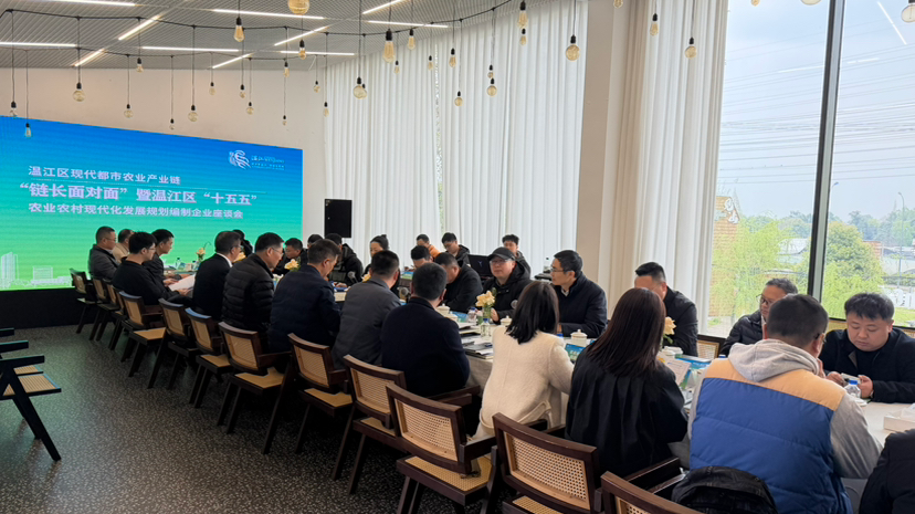 链长面对面，政企成“同桌”，聊出发展“金点子”