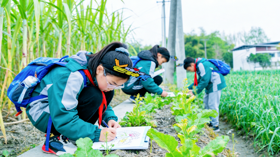 “气象+农文旅”课程体系！温江“少年气象家”在田间读懂风云