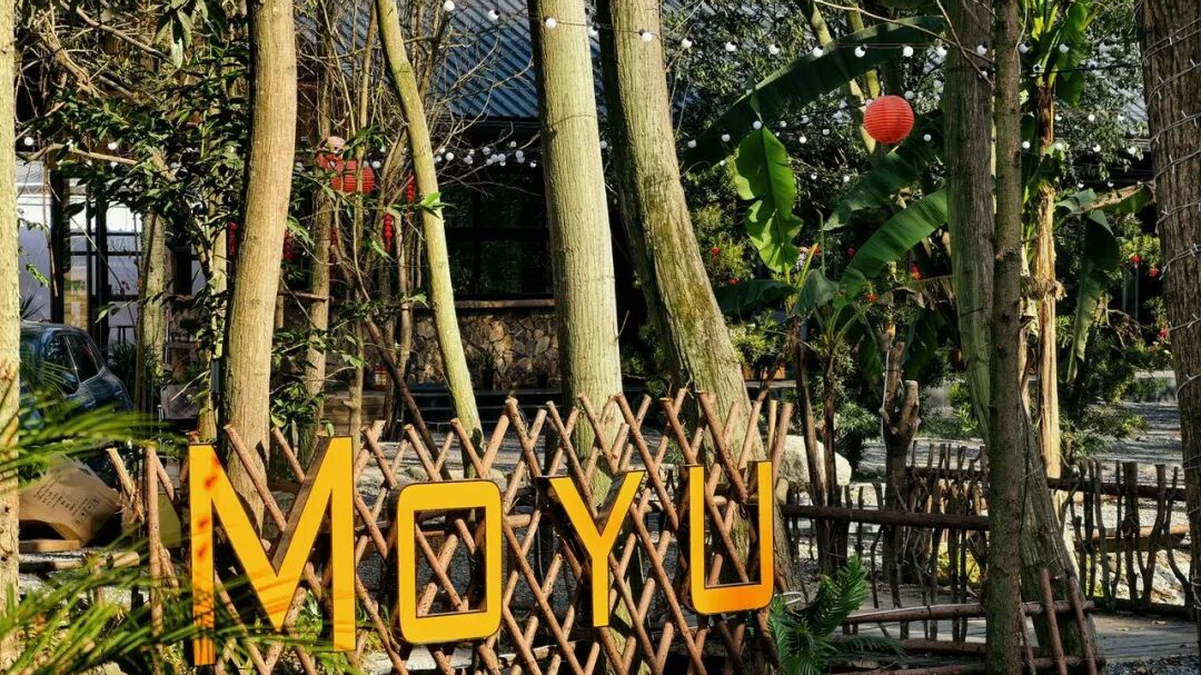 温江新添森系休闲新场景，春假踏青就来这里→